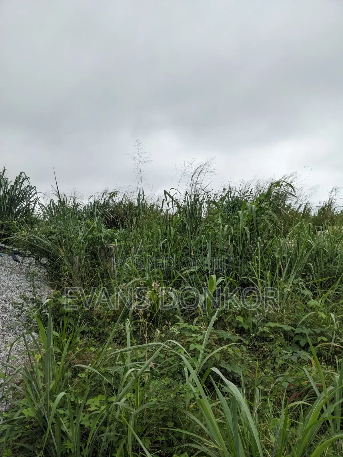 Plot of Land for Sale at Jachie Pramso Off Lake Bosomtwe
