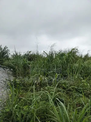 Plot of Land for Sale at Jachie Pramso Off Lake Bosomtwe