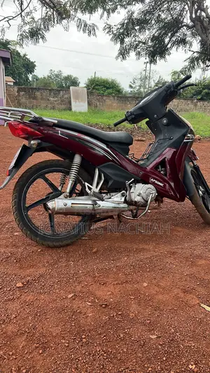 Apsonic AP125-N 2017 Brown