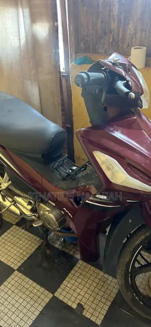 Apsonic AP125-N 2017 Brown