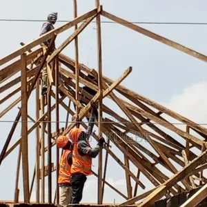 Roofing Expert and Roof Leakages Solver