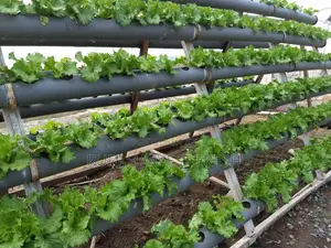 Home Gardening
