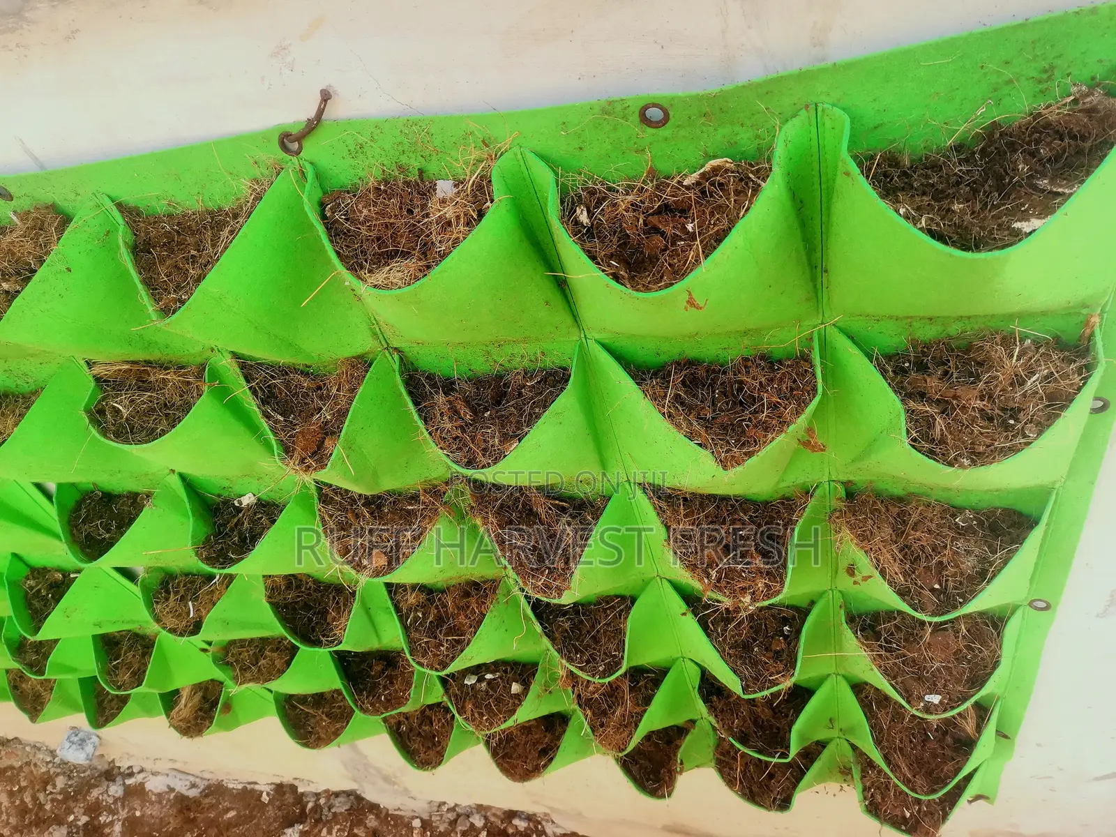 Home Gardening