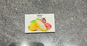 Fridge Magnets