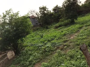 Registered 2 Plots of Land for Sale at Trassaco Valley Annex