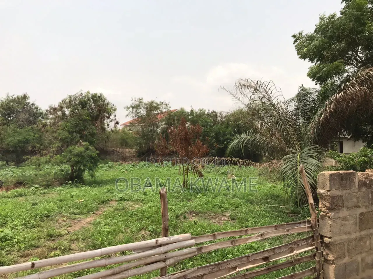 Registered 2 Plots of Land for Sale at Trassaco Valley Annex