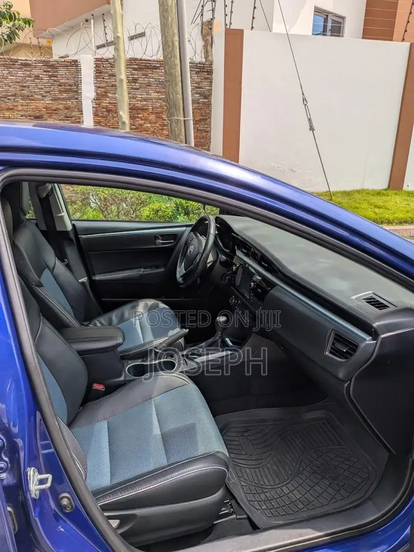 Car Rentals