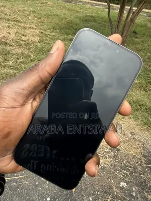 Apple iPhone 16 Pro Max 256 GB Silver