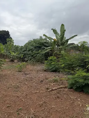 Prime Residential Land for Sale – Ridge Danyame, Kumasi