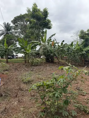 Prime Residential Land for Sale – Ridge Danyame, Kumasi