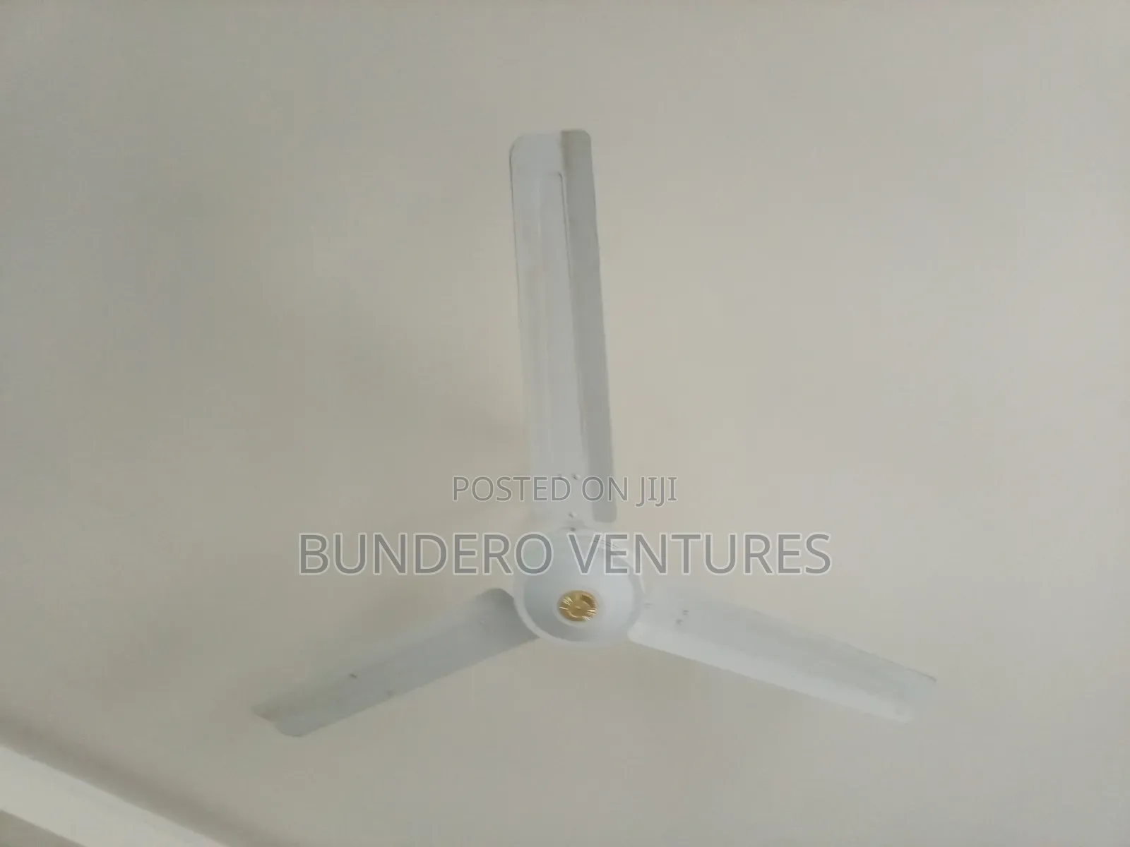 Ceiling Fans