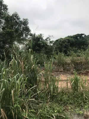Land at Nsawam Mensama