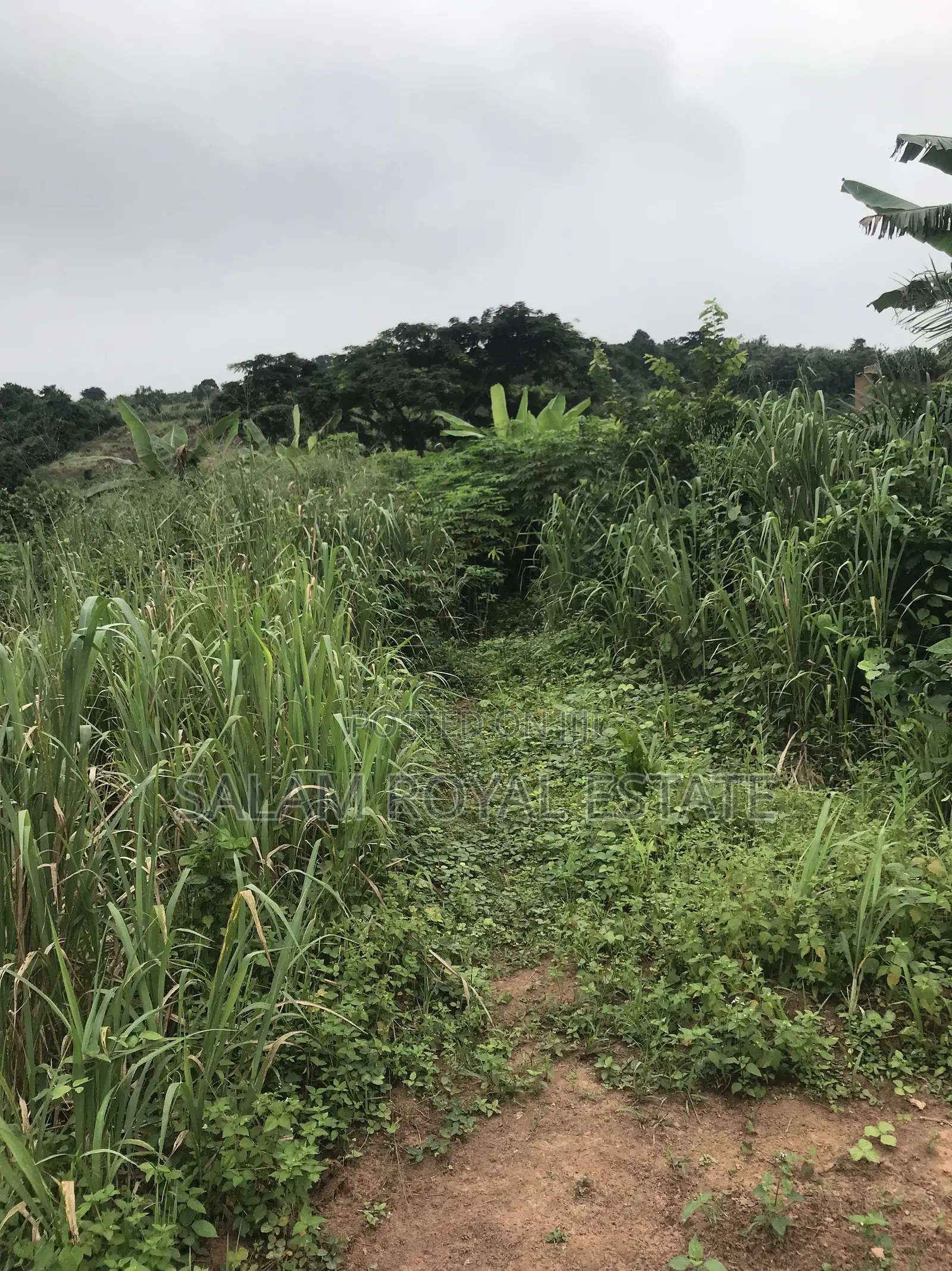 Land at Nsawam Mensama