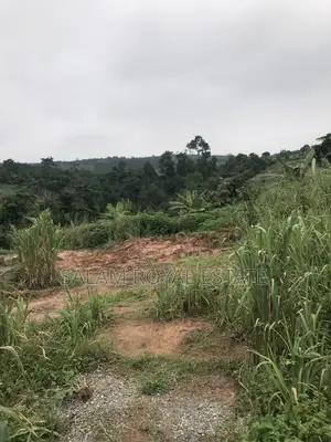 Land at Nsawam Mensama