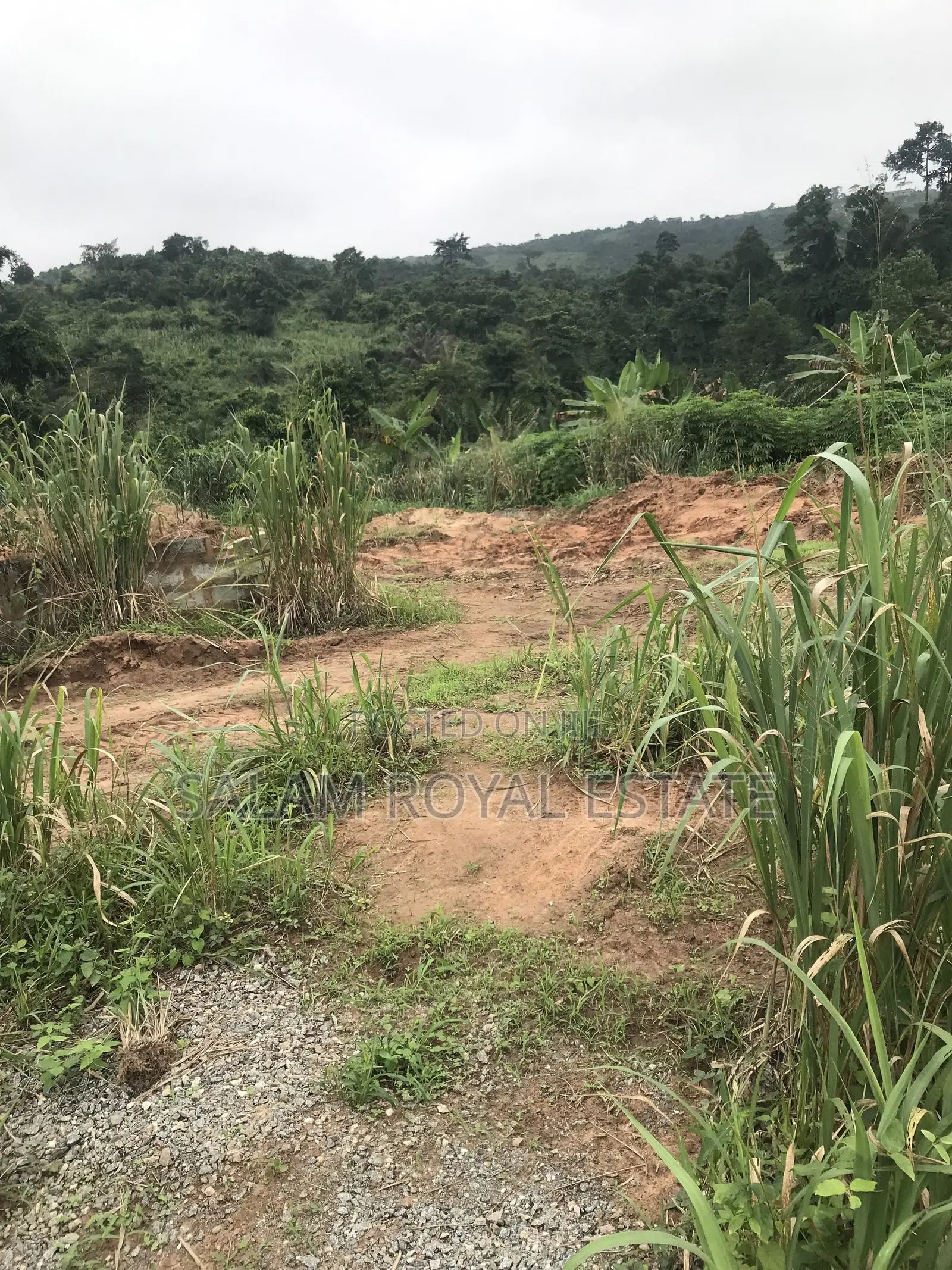 Land at Nsawam Mensama