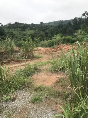 Land at Nsawam Mensama