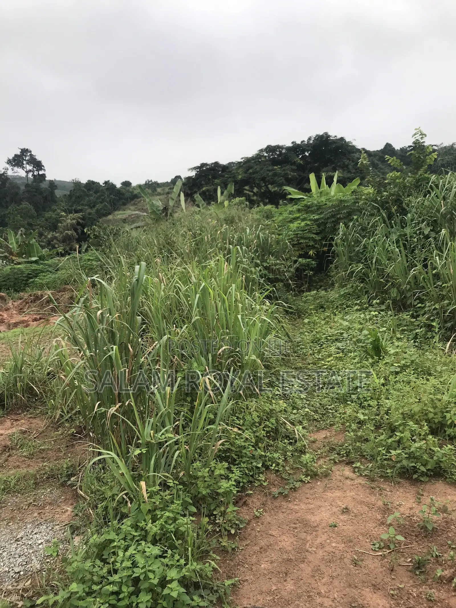 Land at Nsawam Mensama