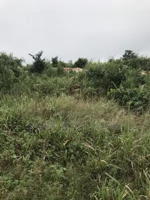 Land at T Samsam Junction, Near the Accra the Technical University.