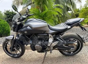 Yamaha FZ 2018 Gray