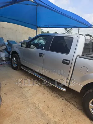 Ford F-150 2015 Silver