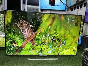 55” LG Smart TV From Germany Going Out for Cool Price