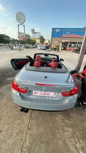 BMW 4 Series 2018 Gray