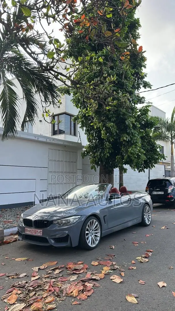BMW 4 Series 2018 Gray