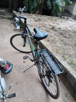Schwinn Bicycle