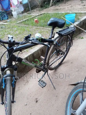 Schwinn Bicycle