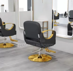 Salon Chair