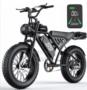 20" Fat Tire Adults Electric Bike 2500w 34mph 48v 20ah Mountain Ebike