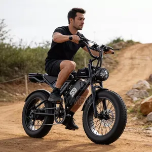 20" Fat Tire Adults Electric Bike 2500w 34mph 48v 20ah Mountain Ebike
