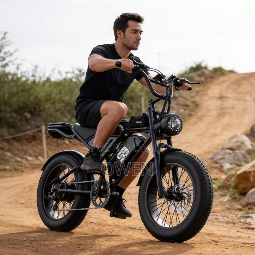 20" Fat Tire Adults Electric Bike 2500w 34mph 48v 20ah Mountain Ebike