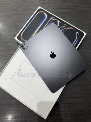 Apple iPad Pro 13 (2024) 1 TB Gray