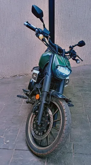 Lifan 2022 Green
