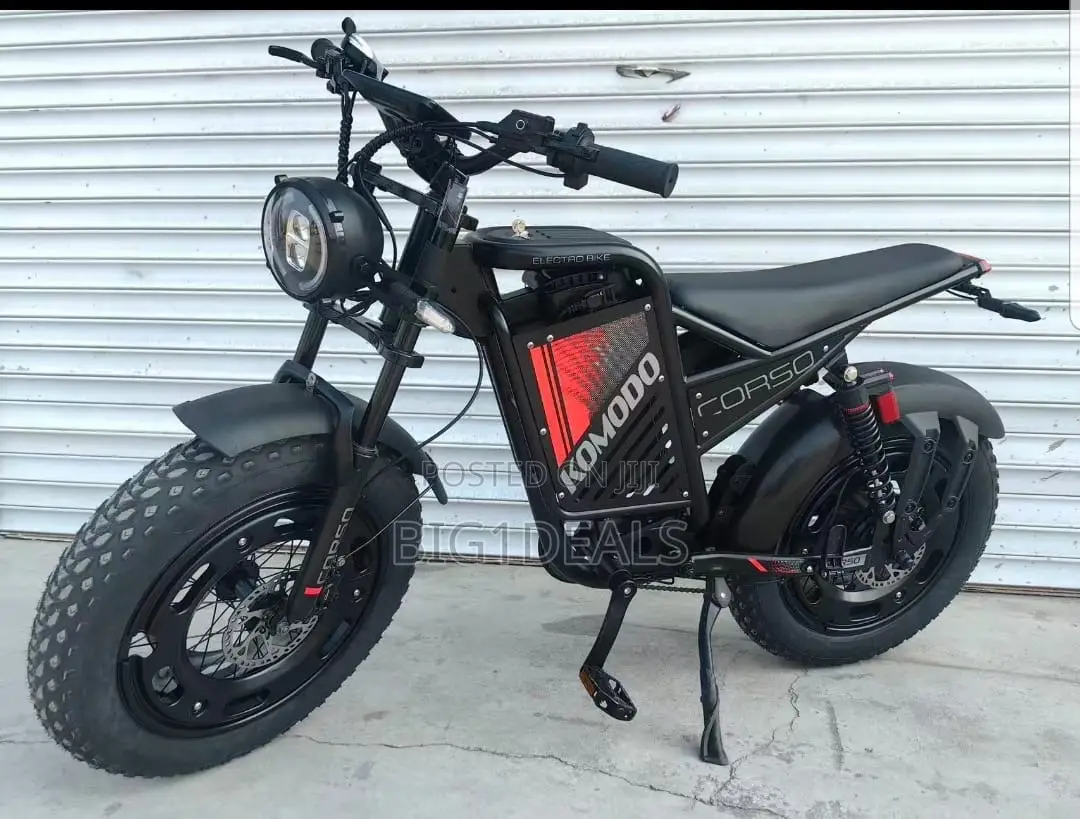 Electric Bicycle With Double Super Lasting Batteries. Preorder Only