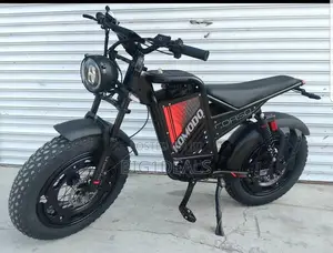 Electric Bicycle With Double Super Lasting Batteries. Preorder Only