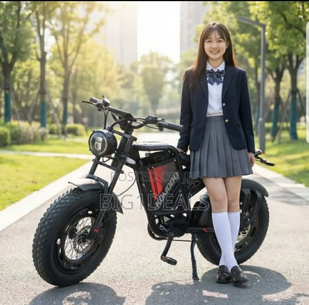 Electric Bicycle With Double Super Lasting Batteries. Preorder Only