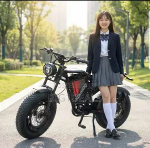 Electric Bicycle With Double Super Lasting Batteries. Preorder Only