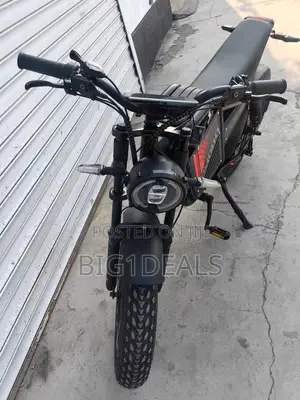 Electric Bicycle With Double Super Lasting Batteries. Preorder Only