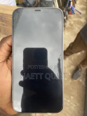 Apple iPhone 12 Pro Max 128 GB Gray