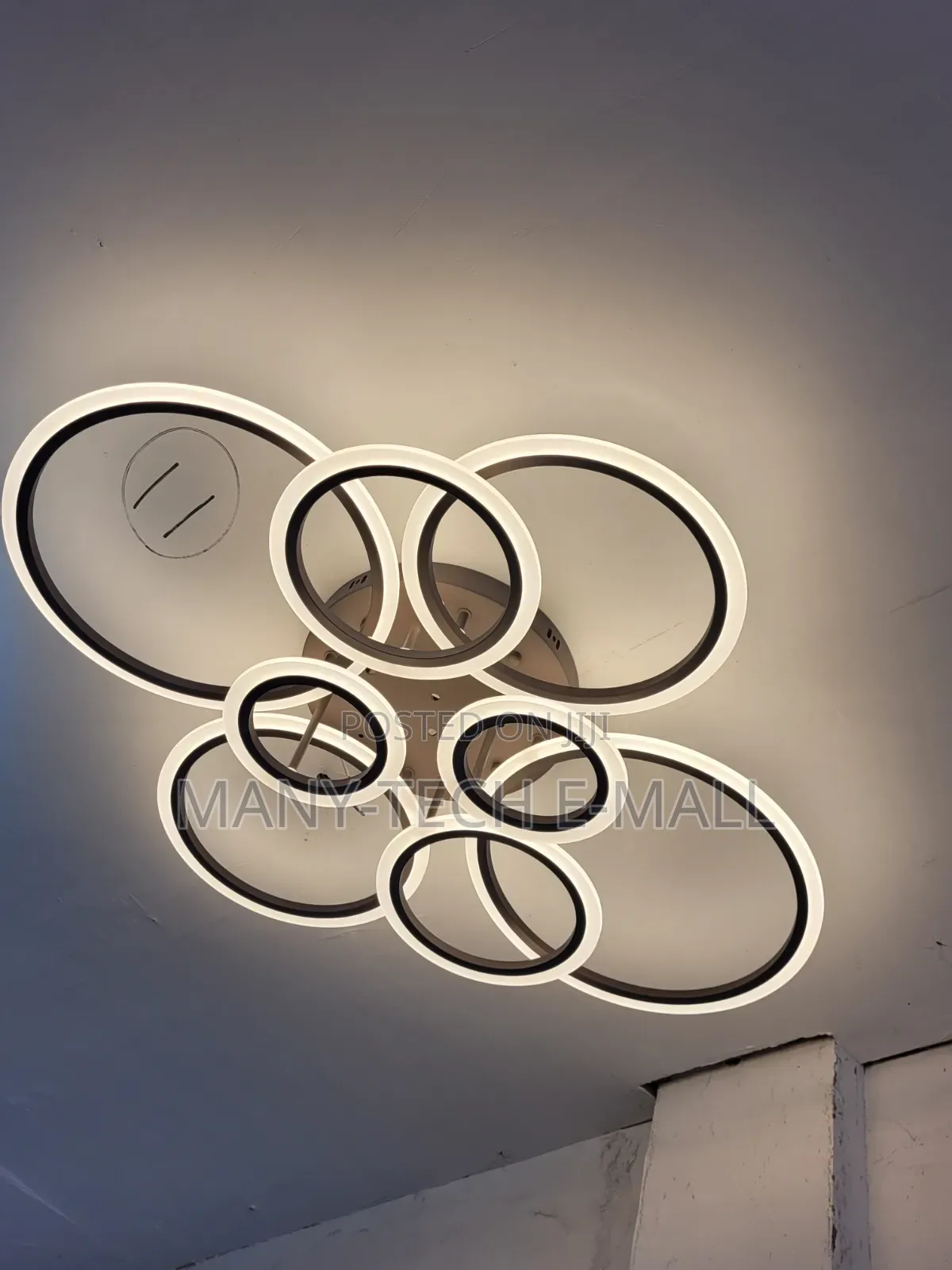 Modern Ceiling Light