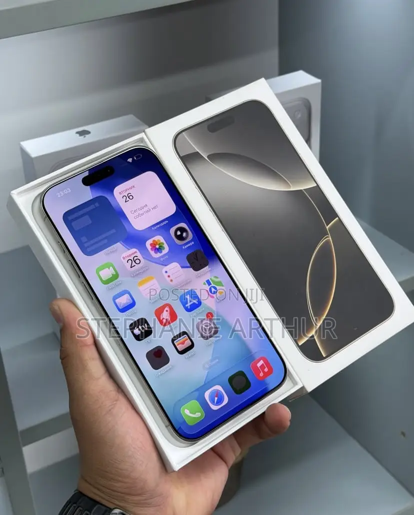 Apple iPhone 16 Pro Max 256 GB Gray