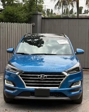 Hyundai Santa Fe 2020 Blue
