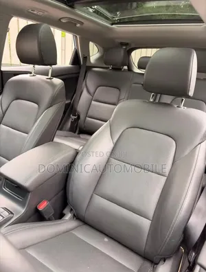 Hyundai Santa Fe 2020 Blue