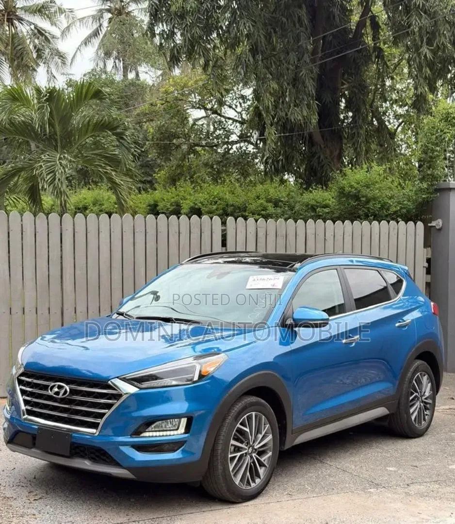 Hyundai Santa Fe 2020 Blue