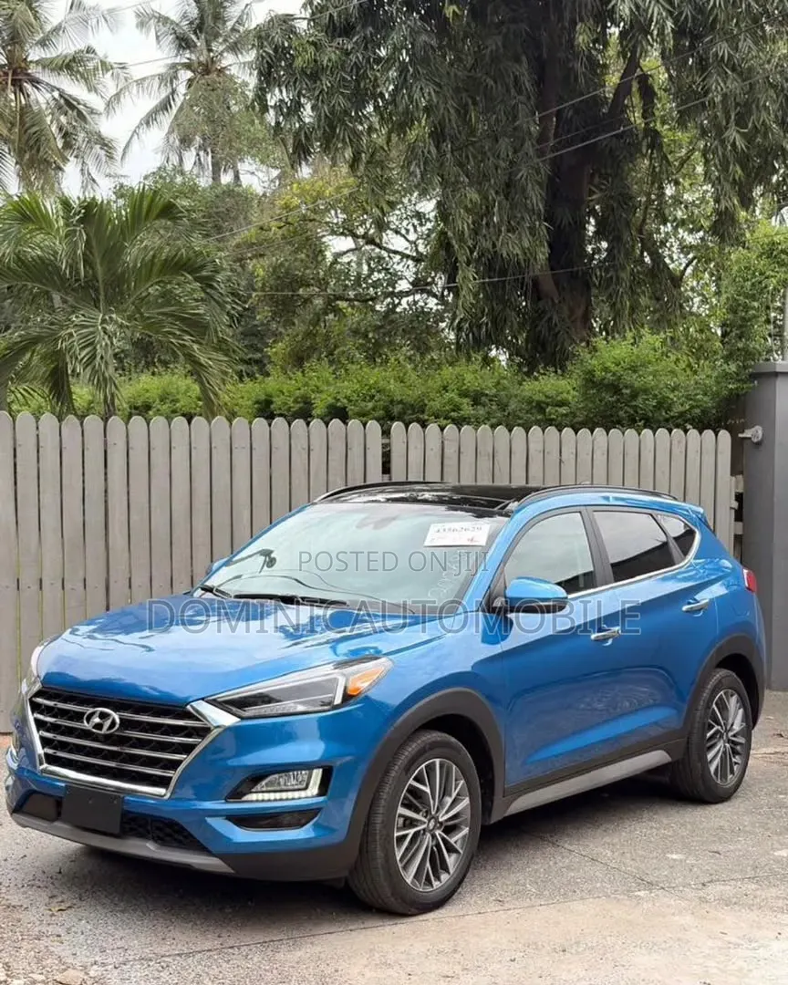 Hyundai Santa Fe 2020 Blue
