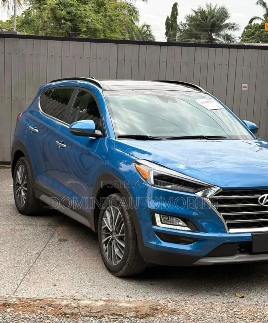 Hyundai Santa Fe 2020 Blue