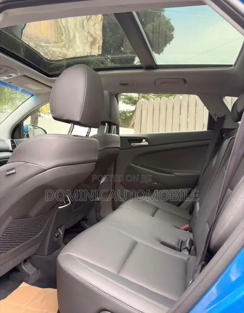 Hyundai Santa Fe 2020 Blue