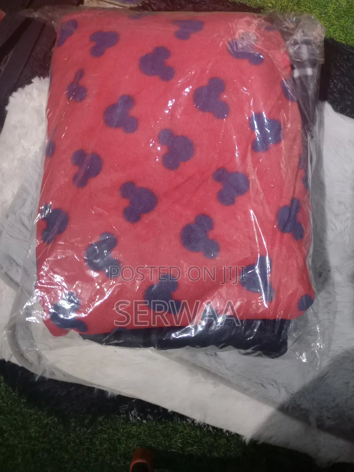 Student Blanket